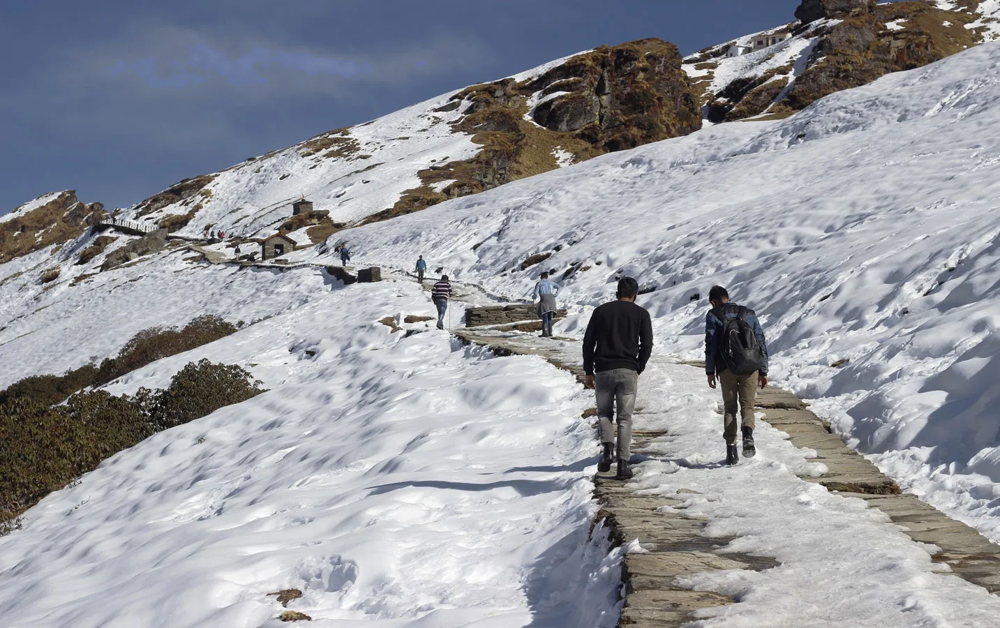 c7oxukmt5f7bi6rrgqgk