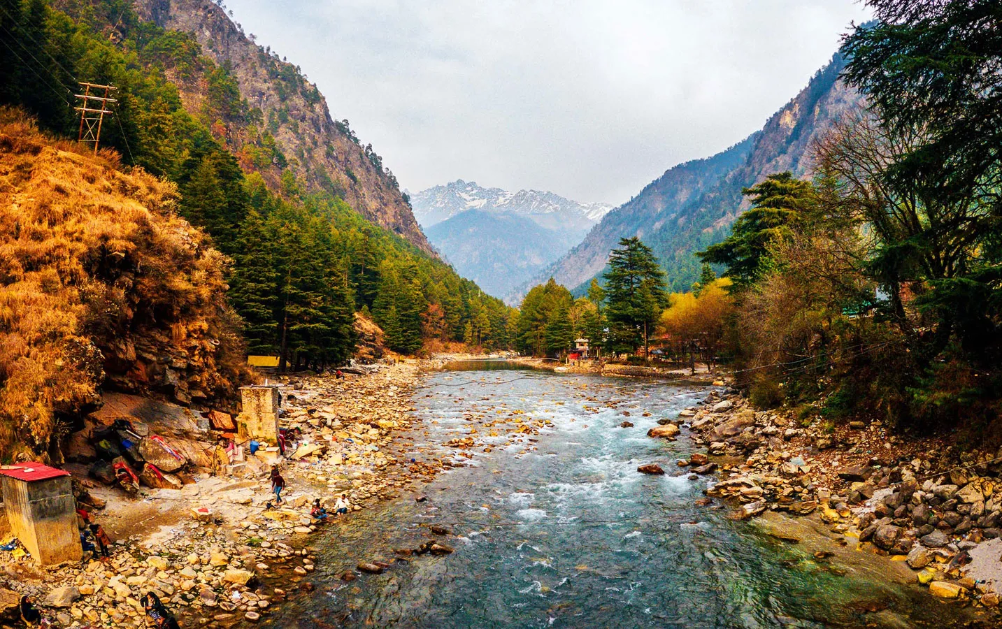 cerctiim281k8v33xzzi