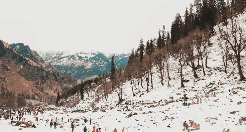 nqioowpsv8h7xwbj7bxm