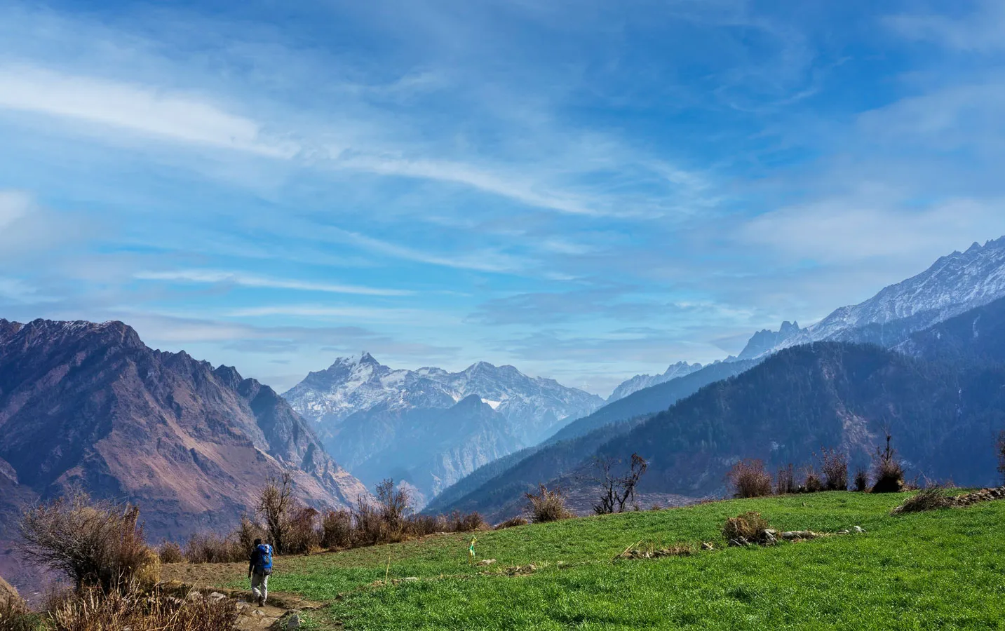 nvcxz7piq2x0zi6sgfgz