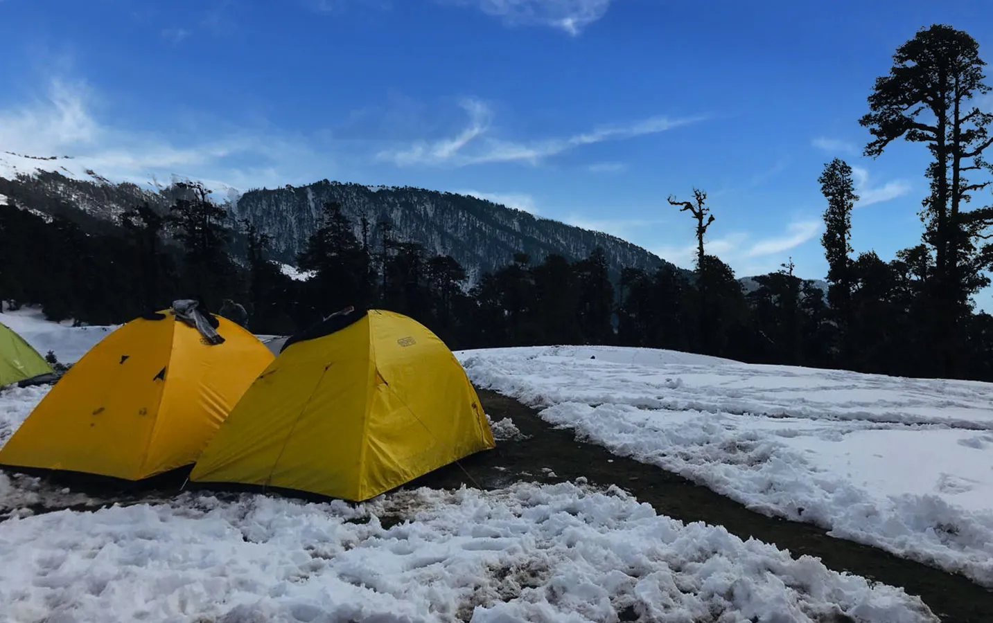 rvizbjmr8keshqh8a8a1