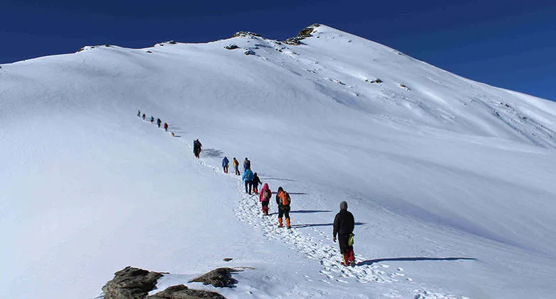 wvbh1eqpqoxpaycu1cl2