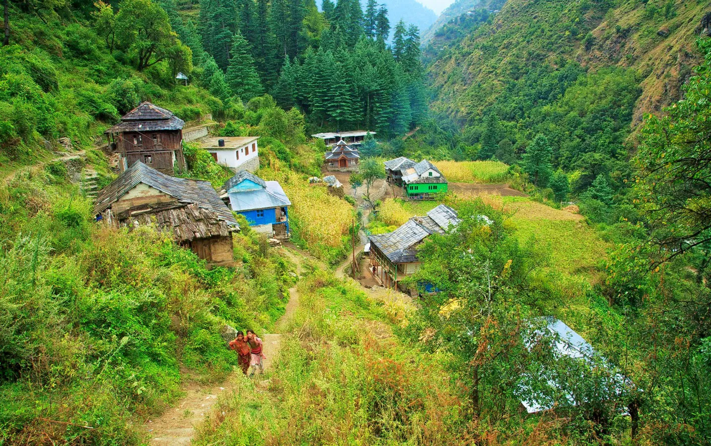 wyynu6tefygs2mwrgjpk